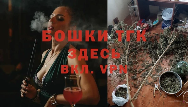 кокс Белокуриха