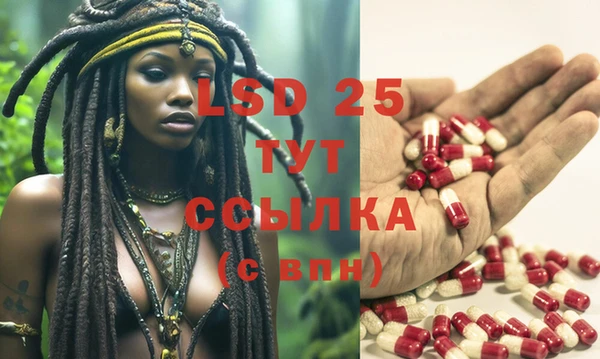 кокс Белокуриха