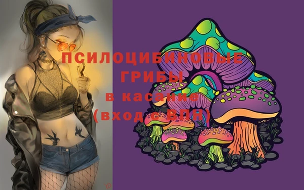 кокс Белокуриха